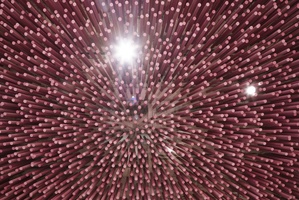 西班牙12000根粉色木棍面包房 (12)
