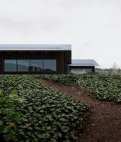 Works - Brick Visual (13)