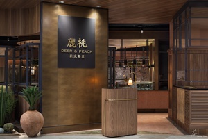 鹿桃 10