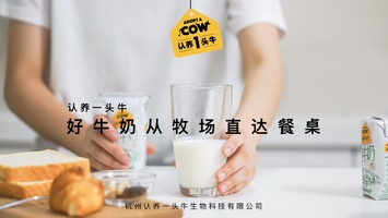 认养一头牛品牌介绍+合作案例