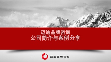 公司简介-迈迪品牌咨询-公司介绍