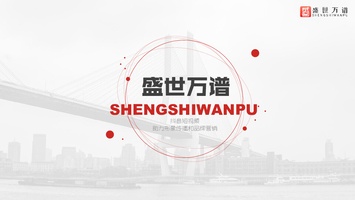 公司简介-盛世公司简介