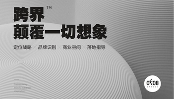 公司简介-时尚品牌定位设计（优秀，喜欢）
