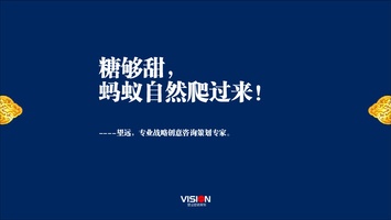 公司简介-望远营销策划机构（可）