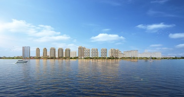 项目案例